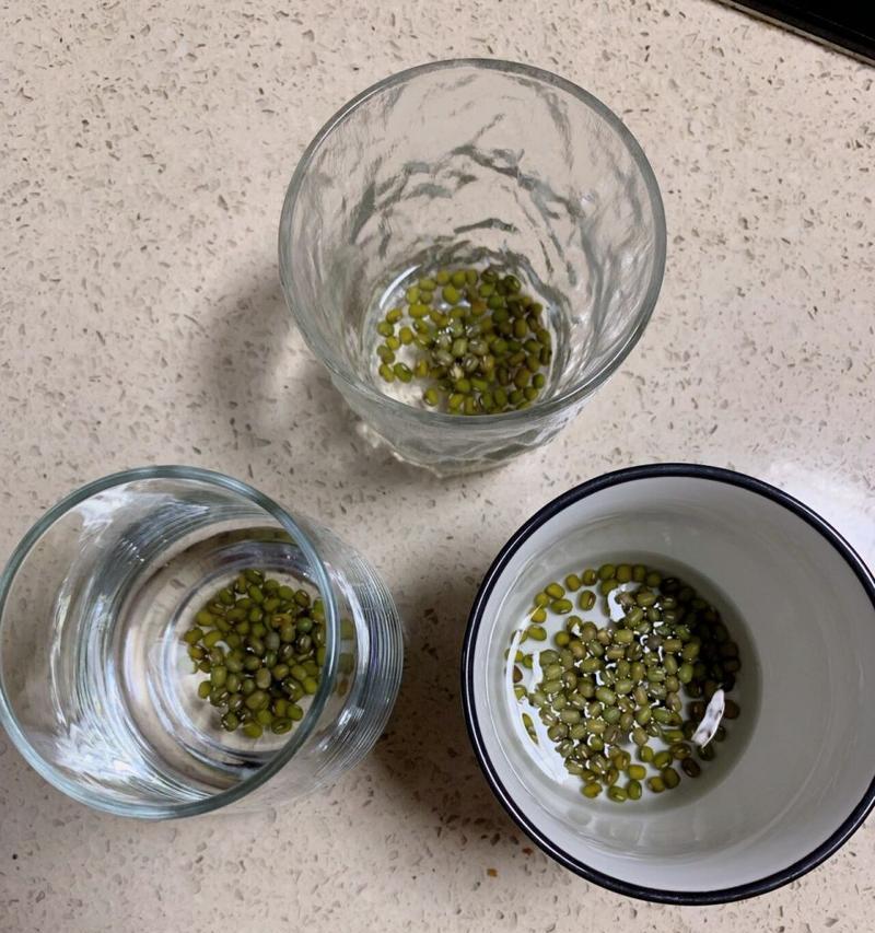 绿豆的种植（水培还是土培？绿豆的成长和产量受哪个因素的影响更大？）