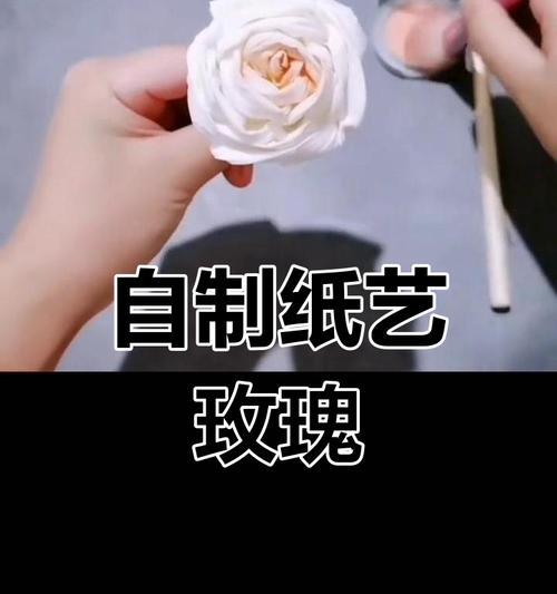 玫瑰花的魅力与意义（赏心悦目的玫瑰花，寓意深远）