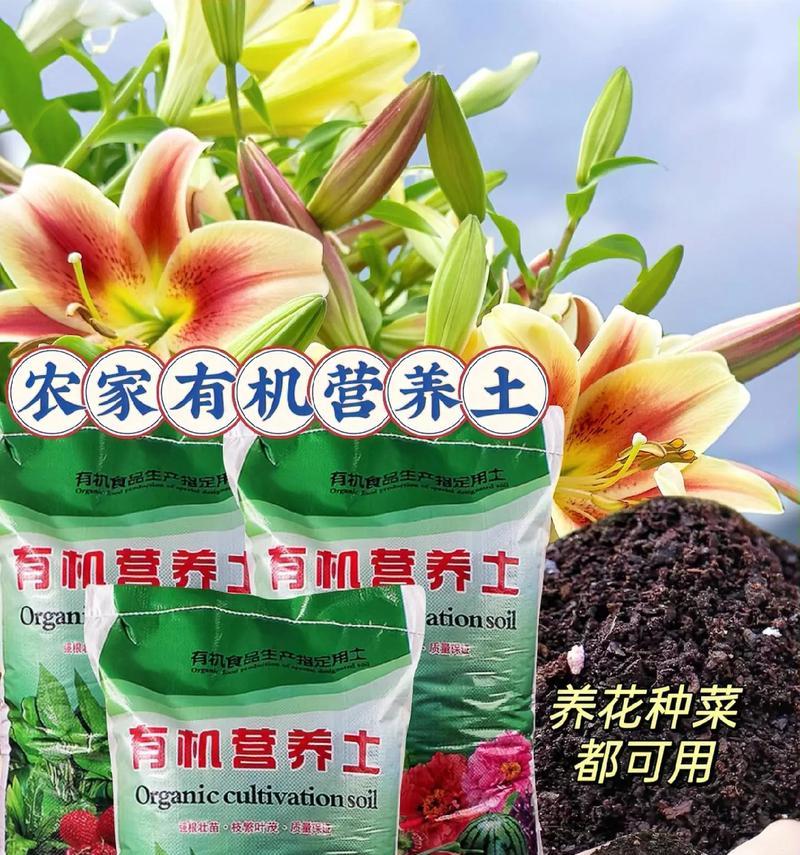营养土能否直接种花？（探究营养土对植物生长的影响）