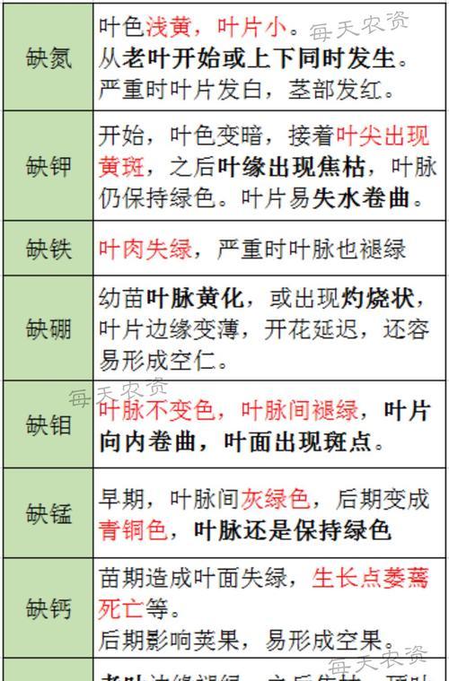 花生叶片发黄原因及处理方法（解决花生叶片发黄问题，保障丰收）