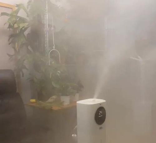 北方冬季室内暖气房怎么养花？（科学方法让花草在冬天绽放迷人的色彩）