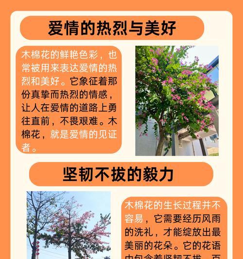 木棉花扦插最佳时间是几月份？（了解木棉花扦插的最佳时间和方法）