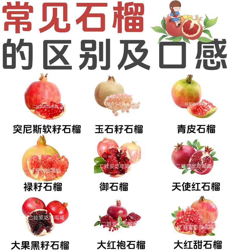 盆栽石榴怎样结果？（种植技巧与注意事项）