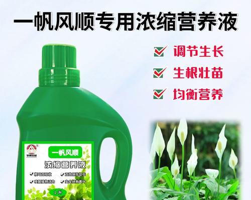 白鹤芋黄叶怎么补救？（科学方法帮你拯救白鹤芋。）