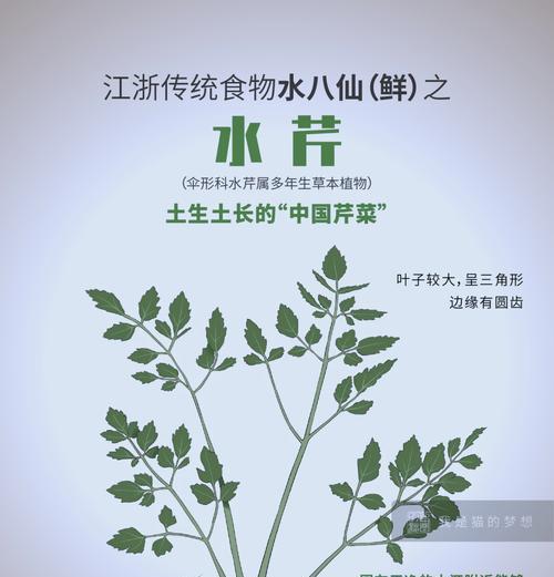 芹菜到底是不是草本植物?(揭开芹菜的真面目,看看它是何种类别的植物)