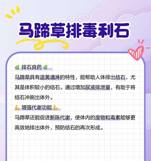 马蹄莲叶子的食用方法及注意事项