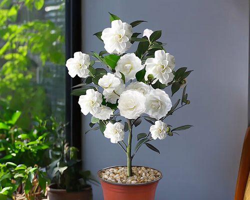 茶花盆栽养护全攻略（打造茶花盆栽花园的秘籍）