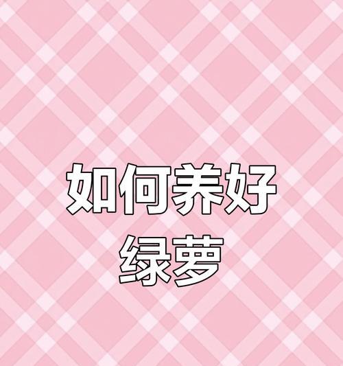 如何正确养活绿萝？（绿萝养护技巧与注意事项）