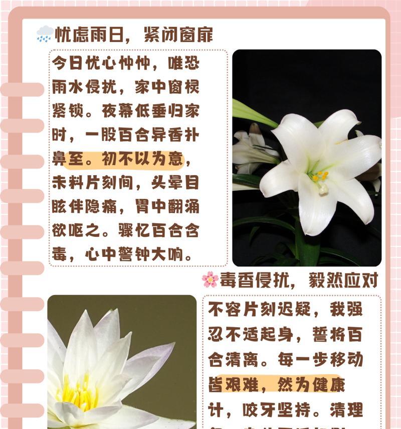 如何应对爱情进展过快的困扰(百合开的太快怎么办?)