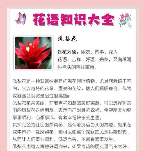 凤梨花冬季养护全攻略（冬季凤梨花养护要点与技巧）