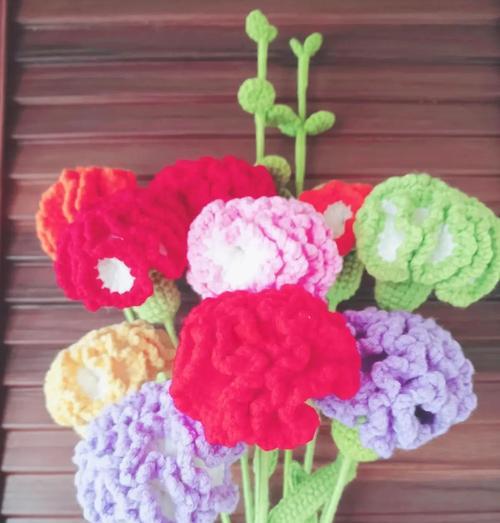 康乃馨不开花的原因及解决方法（探寻康乃馨不开花的根源，如何使康乃馨开出绚丽花朵）