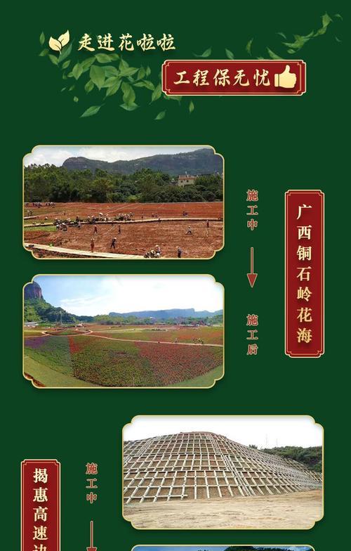 以爬藤牵牛花播种为主题的育苗技巧（从播种到生长，打造美丽花园的关键）