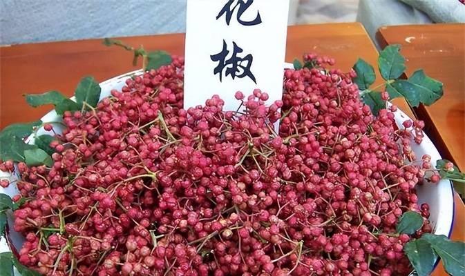 探秘花椒的外貌特征（了解花椒的叶子、果实、树皮等多种特征）