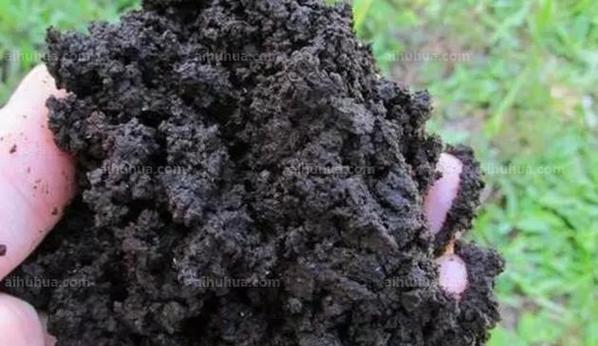 以鲜黄豆渣做肥料的研究与应用（发掘鲜黄豆渣的肥料潜力，助力环境保护和农业发展）