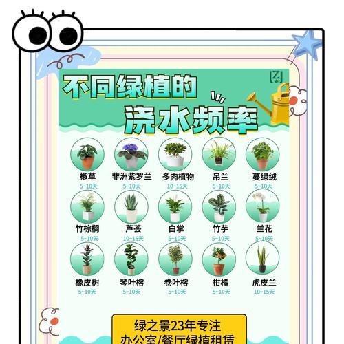 松树的浇水时机和正确方法（保持松树健康的秘诀与技巧）