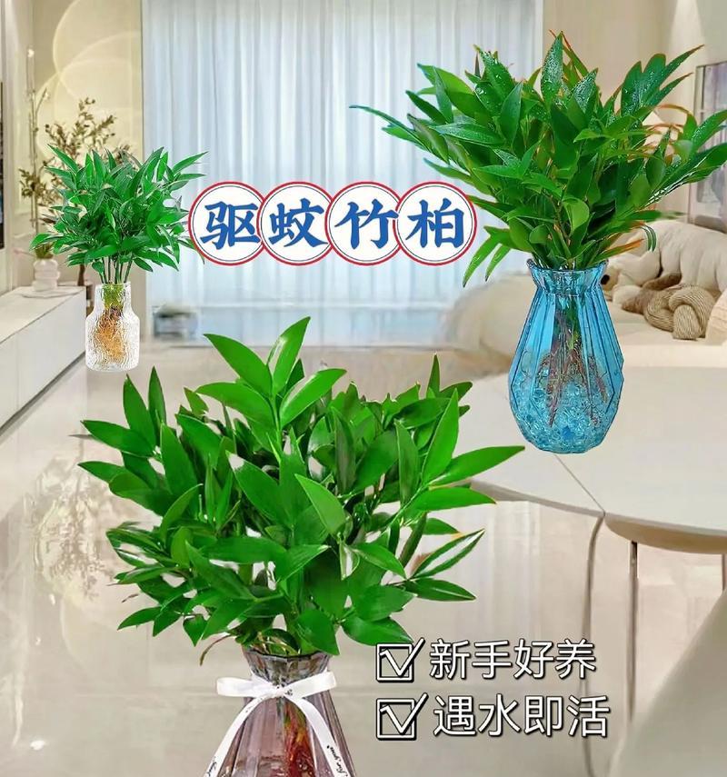 室内植物的正确浇水方法（多长时间浇一次水？以及如何判断植物是否需要浇水？）
