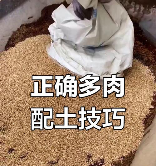 多肉植物土的配制及使用（以多肉植物土怎么配为主题的探讨）