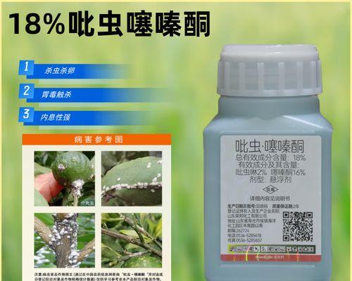 多肉植物如何有效治理蚧壳虫？（探索多肉植物防治蚧壳虫的有效方法）
