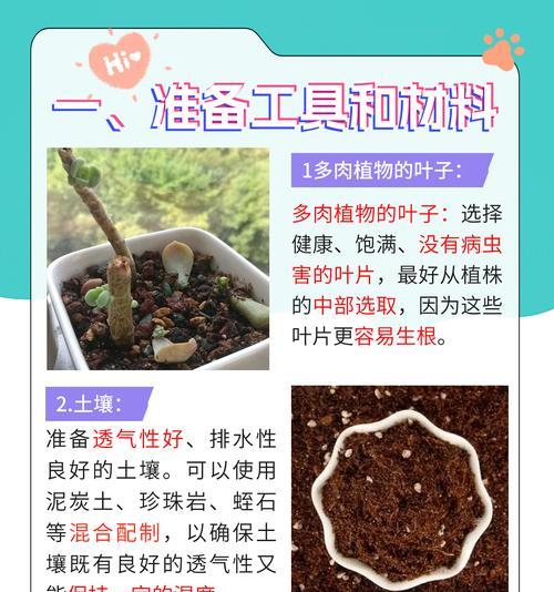如何正确浇水以玉露叶？（插玉露叶要注意的浇水技巧）