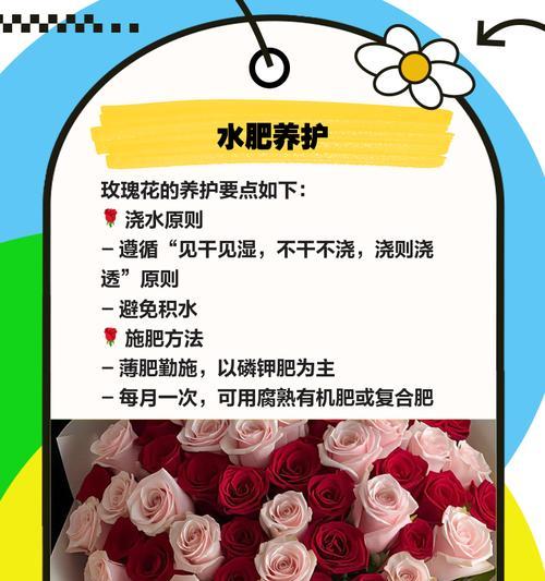 玫瑰花的发芽期养护指南（如何给玫瑰花提供理想的生长环境，让它们在发芽期健康成长）