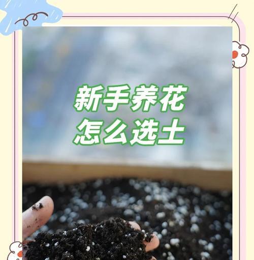 如何选购适合花卉种植的土壤？（选择理想土壤，让花卉茁壮成长）