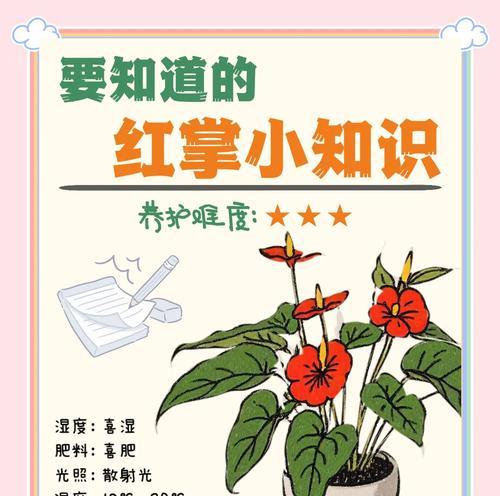 《红撑叶子黄了》——植物的哀伤（追溯变迁、寻找希望）