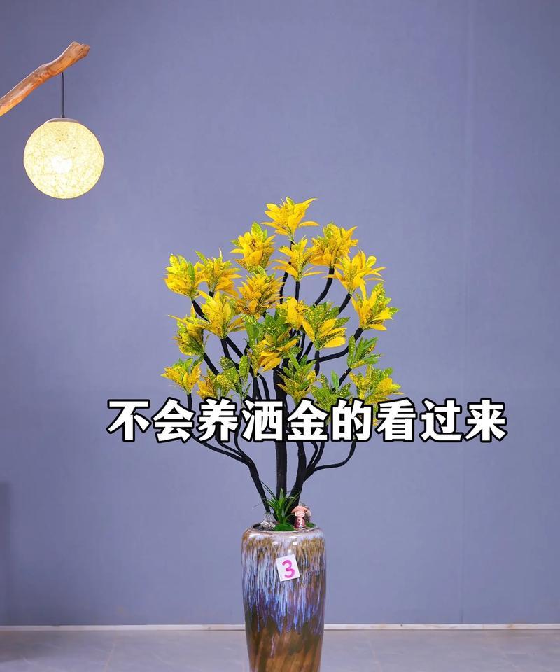 以花卉膨珊瑚怎么养？（学会正确的花卉膨珊瑚养护方法，打造美丽的水下花园）