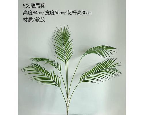 散尾葵叶子出现白斑？如何治疗与预防（探索散尾葵叶子白斑原因及解决方法）