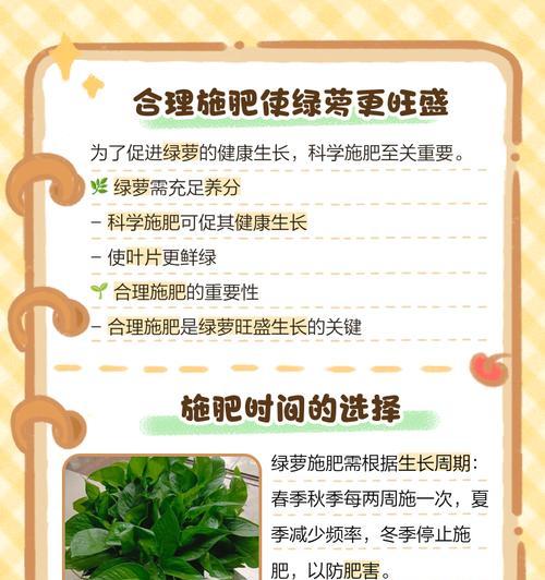 绿萝旺盛——观察植物生长的奥秘（绿色生机在家中绽放，探索绿萝成长的窍门）