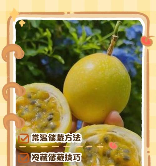 北方盆栽百香果的冬季护理（如何让百香果在北方地区安全度过寒冷的冬季）