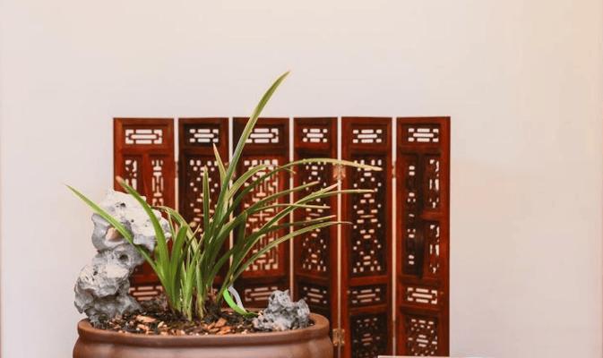 北方兰花盆景的冬季养护指南（保证兰花健康过冬的关键是合理调节温度和湿度）