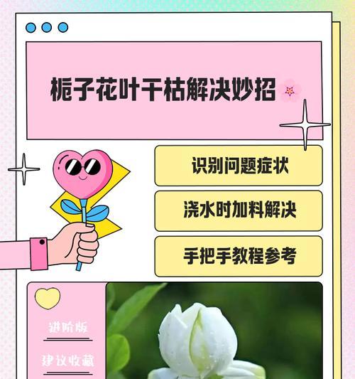快速修剪栀子花叶子的技巧（提高栀子花叶子生长速度的有效方法）