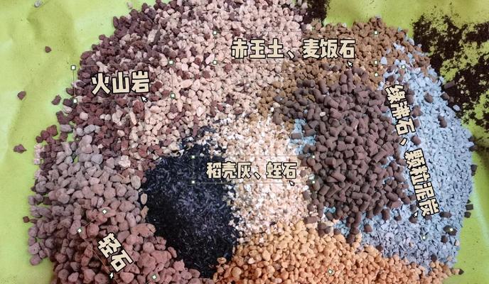 以栽肉肉植物配土为主的肉肉植物养护指南（合理搭配土壤，助力肉肉植物生长与繁衍）