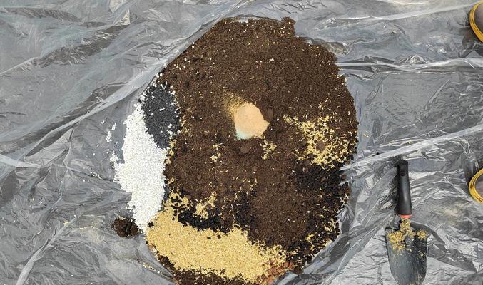 植物盆太大，如何更换土？（解决植物盆太大的问题，让植物健康成长！）