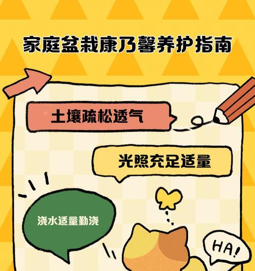 康乃馨枯萎的治疗方法及注意事项（保持适宜的环境和水分，康乃馨枯萎的原因和解决办法）