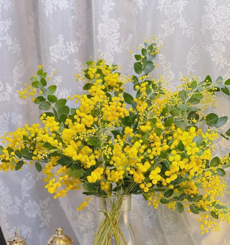 合欢花的养殖之道（掌握合欢花的生长技巧，打造美丽花园）
