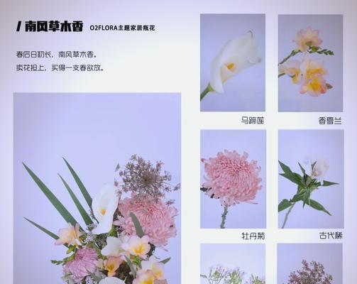 花卉爱好者必读（学会如何升级你的莲花，让它焕发更美丽的光彩）