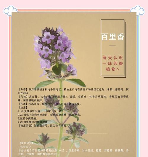 百里香的用途与好处（百里香）