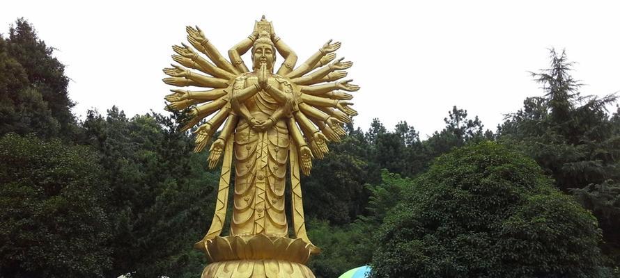 千手观音分株方法详解（分株时间、步骤和注意事项）