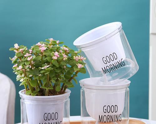 控根盆适合种植哪些植物？（探究控根盆的特性与优势，推荐适合种植的植物。）