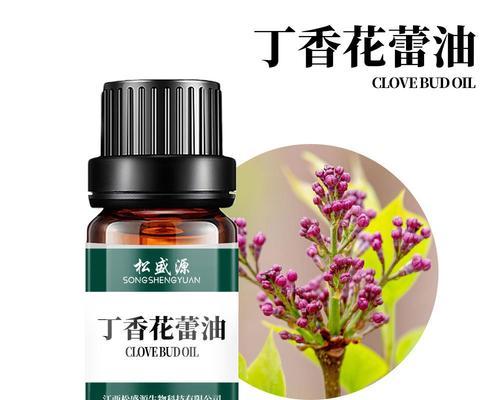 丁香花蕾的加工与运用（丁香花蕾）