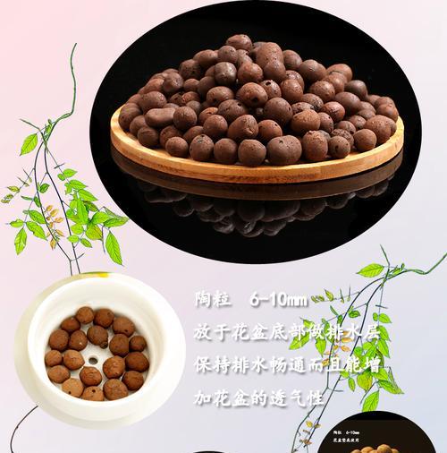 打造心形花盆，让爱在花泥间绽放（以心形花盆为表达工具，营造浪漫情调的家居花艺装饰）