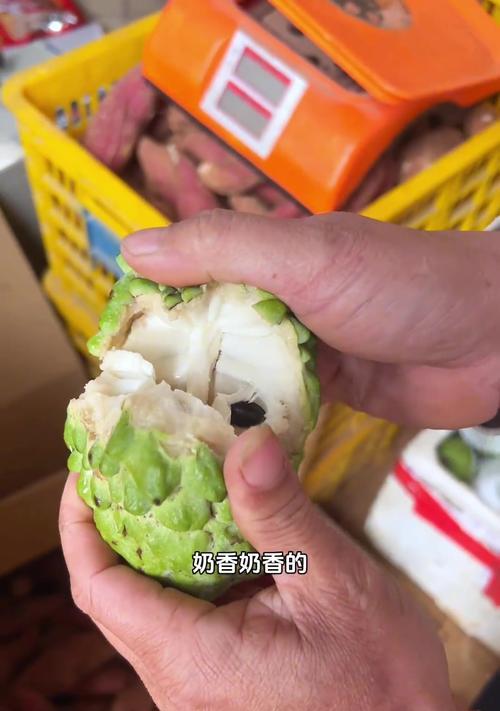 以释迦果怎么催熟（掌握关键技巧，让释迦果成熟无忧）
