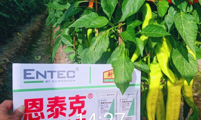绿色复合肥（探索绿色复合肥在农业生产中的应用）