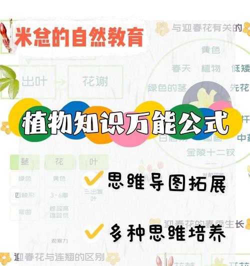 以小叶迎春怎么施肥？（掌握正确的施肥方法，让小叶迎春茁壮成长）