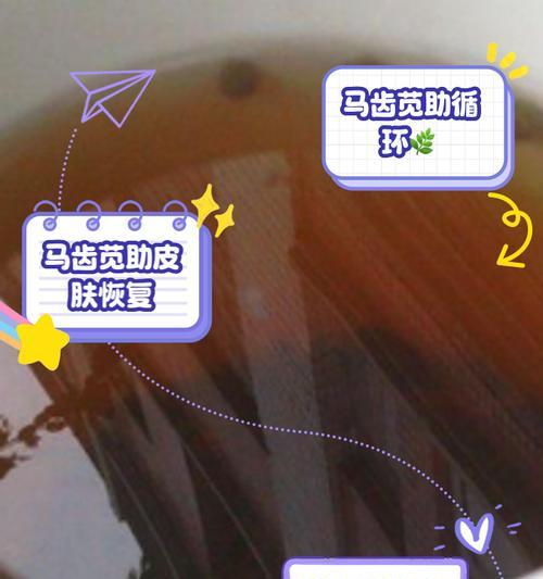 马齿苋泡水喝的正确方法（享受健康水，从喝马齿苋开始）
