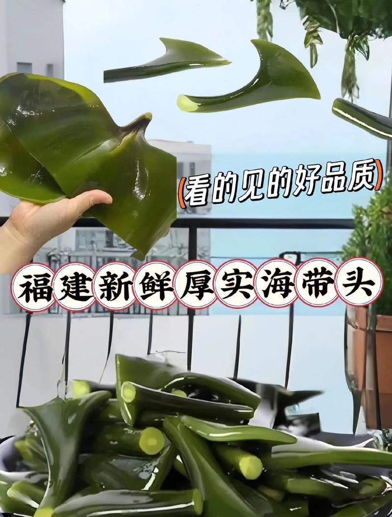 探究海带的起源、生长和营养价值（探究海带的起源、生长和营养价值）