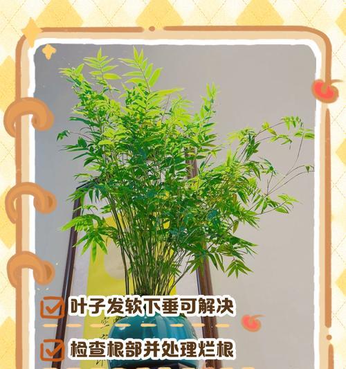 法师叶子发软下垂，如何修复？（了解原因，采取有效措施，让叶子重新挺立）