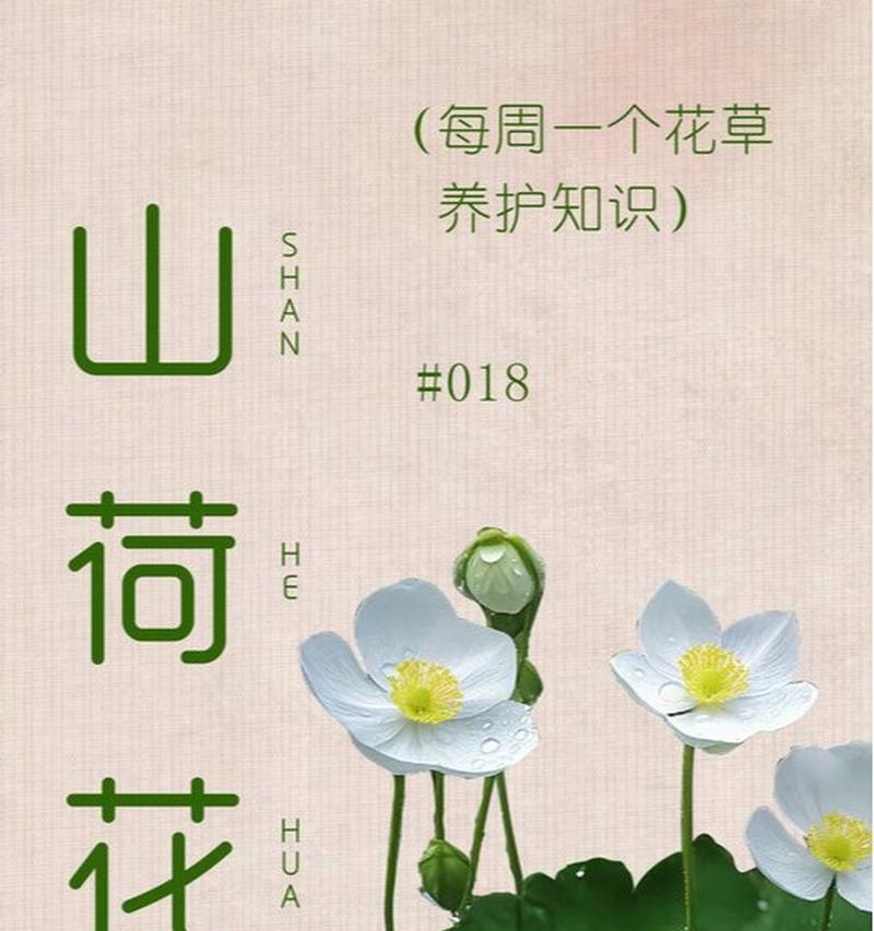 姜荷花的养护和种植技巧（从选种到管理，让你轻松打造花园亮点）