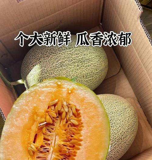 哈密瓜发苦如何应对？（哈密瓜为什么会发苦？如何判断是否还能食用？）